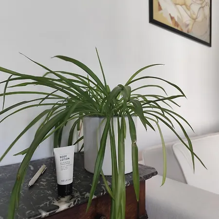 Avea - Accessible Downtown Retreat Near Hofgarten Séjour chez l'habitant Augsbourg