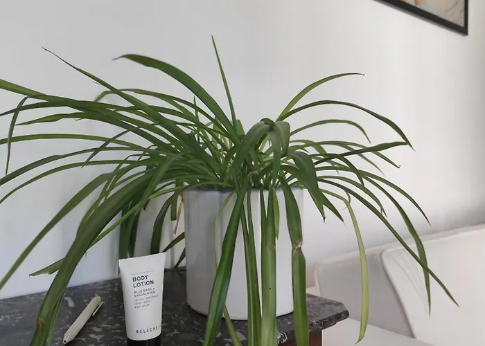 Avea - Accessible Downtown Retreat Near Hofgarten Séjour chez l'habitant Augsbourg